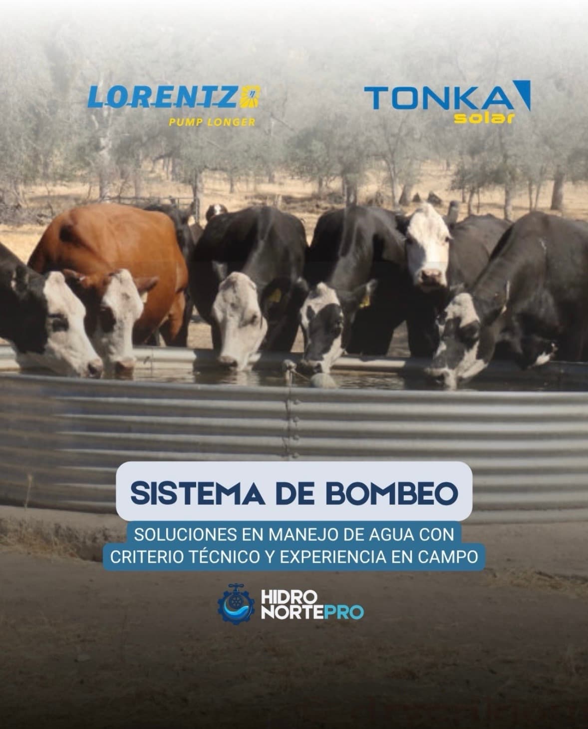 Instalación Lorentz 1